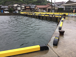 スラッシュカット実績14