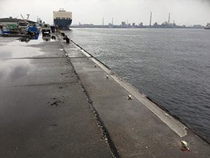 スラッシュカット実績6