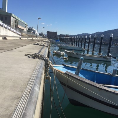 アルミ製コーナー材(ノーマルタイプ） NETIS登録のお知らせ