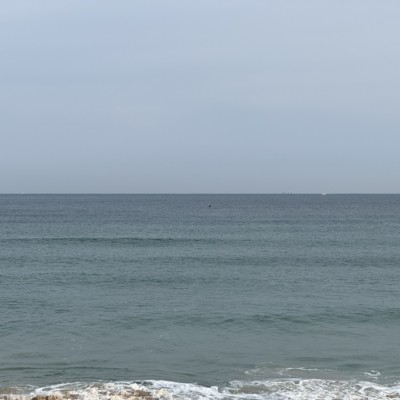 第37回　ビーチクリーン