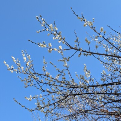 第55回 ビーチクリーン