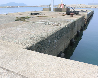 カブセさせて頂きました。　動画もアップしています！