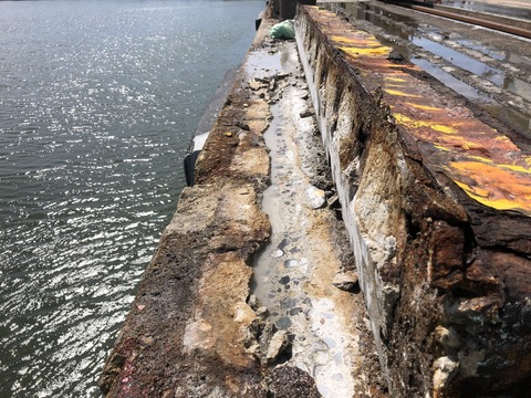 4B9C599B-68F3-443B-B99B-48D4536B123F