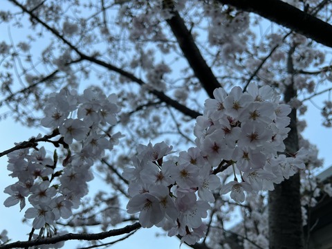 8B8BFE79-1307-4E10-A82C-BFA8F23C6B0B