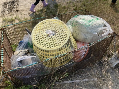 D481D2EF-67EA-4C9E-858D-7A854D88750F