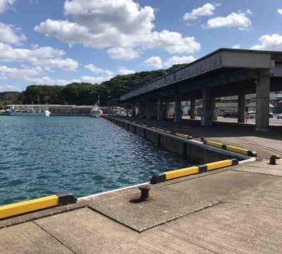 イカで有名な特牛港