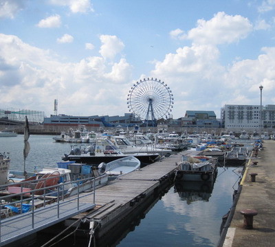 久し振りの調査