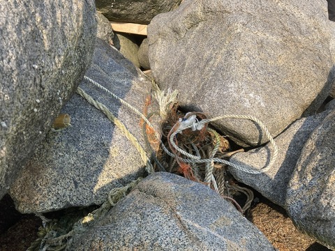 DA57DD0A-DAE8-4A07-8721-C2374F92BF25